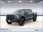 2025 F-150 Thumbnail 1