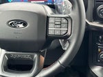 2025 F-150 Thumbnail 15