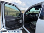2025 F-150 Thumbnail 12