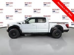 2025 F-150 Thumbnail 11