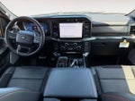 2025 F-150 Thumbnail 10