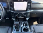 2025 F-150 Thumbnail 11