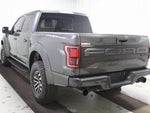 2019 F-150 Thumbnail 4