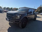 2019 F-150 Thumbnail 1