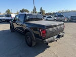 2019 F-150 Thumbnail 3