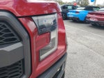 2019 F-150 Thumbnail 3