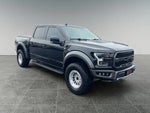 2019 F-150 Thumbnail 2