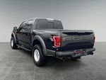 2019 F-150 Thumbnail 5