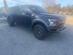 2019 F-150 Thumbnail 3