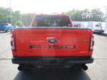 2021 F-150 Thumbnail 8