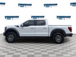 2021 F-150 Thumbnail 8