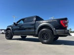 2023 F-150 Thumbnail 4