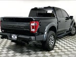 2023 F-150 Thumbnail 11