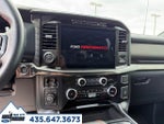 2024 F-150 Thumbnail 11