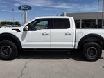 2024 F-150 Thumbnail 5