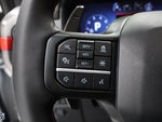 2025 F-150 Thumbnail 13
