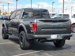 2018 F-150 Thumbnail 6