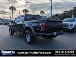 2019 F-150 Thumbnail 6