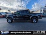 2019 F-150 Thumbnail 7