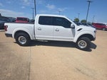 2019 F-150 Thumbnail 2