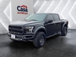 2019 F-150 Thumbnail 8