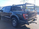 2021 F-150 Thumbnail 7
