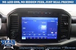 2021 F-150 Thumbnail 20