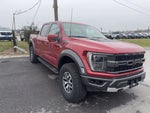2023 F-150 Thumbnail 10