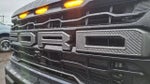 2024 F-150 Thumbnail 12