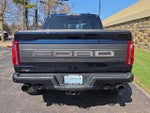 2024 F-150 Thumbnail 12