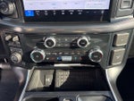 2024 F-150 Thumbnail 18