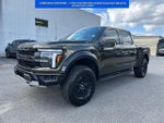 2025 F-150 Thumbnail 6