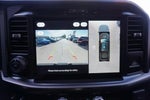 2025 F-150 Thumbnail 14