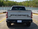 2023 F-150 Thumbnail 17