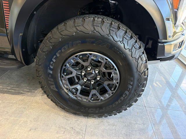 2025 Ford F-150 Raptor — photo 1 of 24
