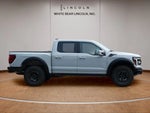 2026 F-150 Thumbnail 4