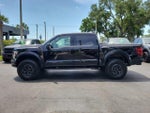 2025 F-150 Thumbnail 6