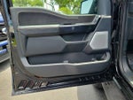 2025 F-150 Thumbnail 20
