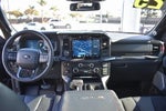 2025 F-150 Thumbnail 13