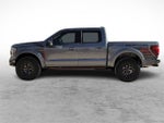 2025 F-150 Thumbnail 6