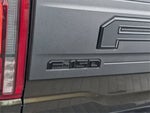 2025 F-150 Thumbnail 5