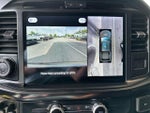2025 F-150 Thumbnail 18