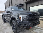 2024 F-150 Thumbnail 2