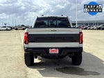 2026 F-150 Thumbnail 9