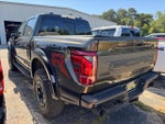 2026 F-150 Thumbnail 6