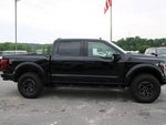 2025 F-150 Thumbnail 6