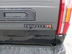 2025 F-150 Thumbnail 10