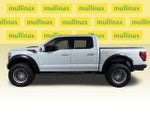 2024 F-150 Thumbnail 10