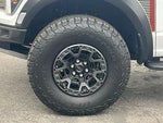 2024 F-150 Thumbnail 7