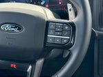 2025 F-150 Thumbnail 19